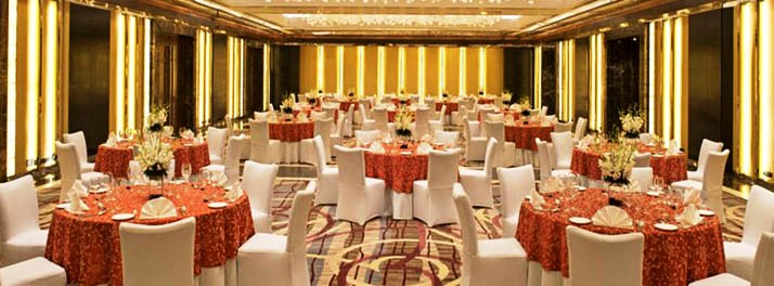 428/Radisson Blu Plaza - New Delhi 05.jpg